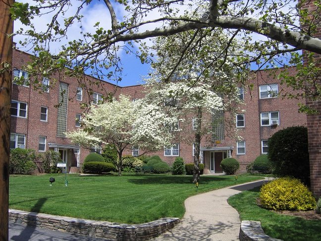 Landscaped courtyard of a Bromley building with flowering dogwoods